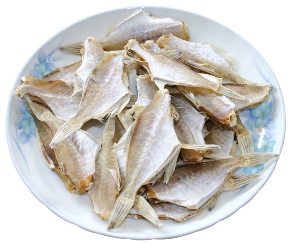 马面鱼